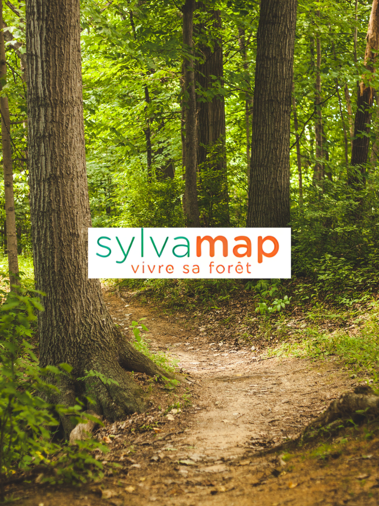 Forêt logo - SylvaMap