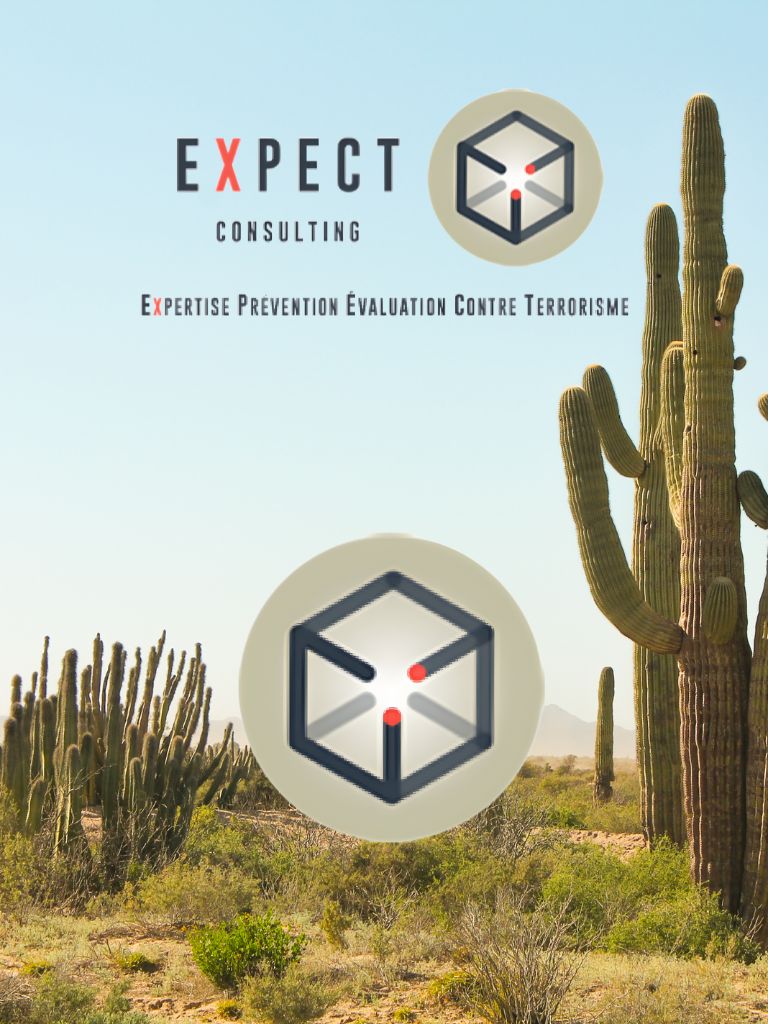 Terre desert logo favicon - expectconsulting
