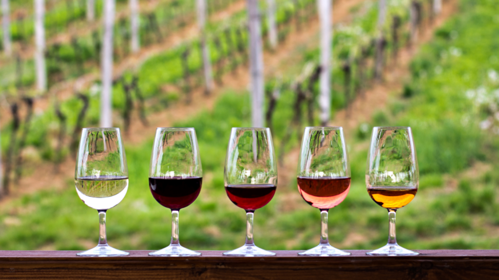 Verres vins dégustation - South World Wines